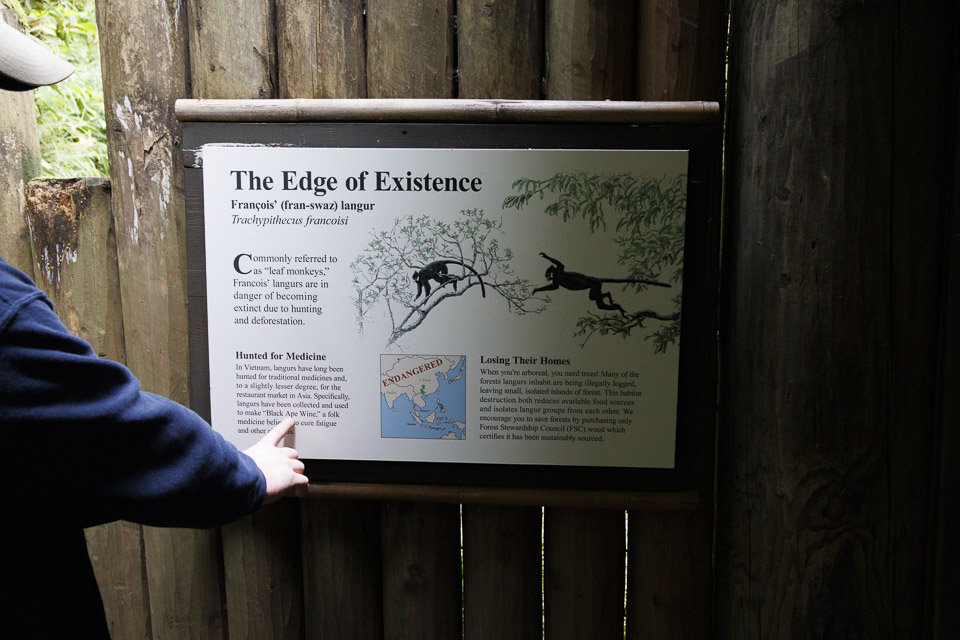 Woodland Park Zoo — photo 77